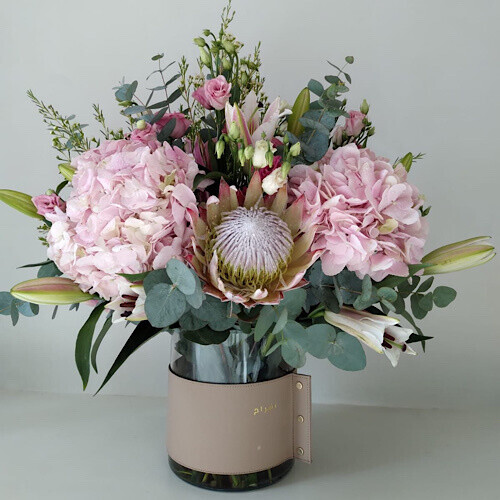 Pink Hydrenjya
