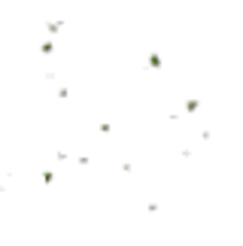 Oregano