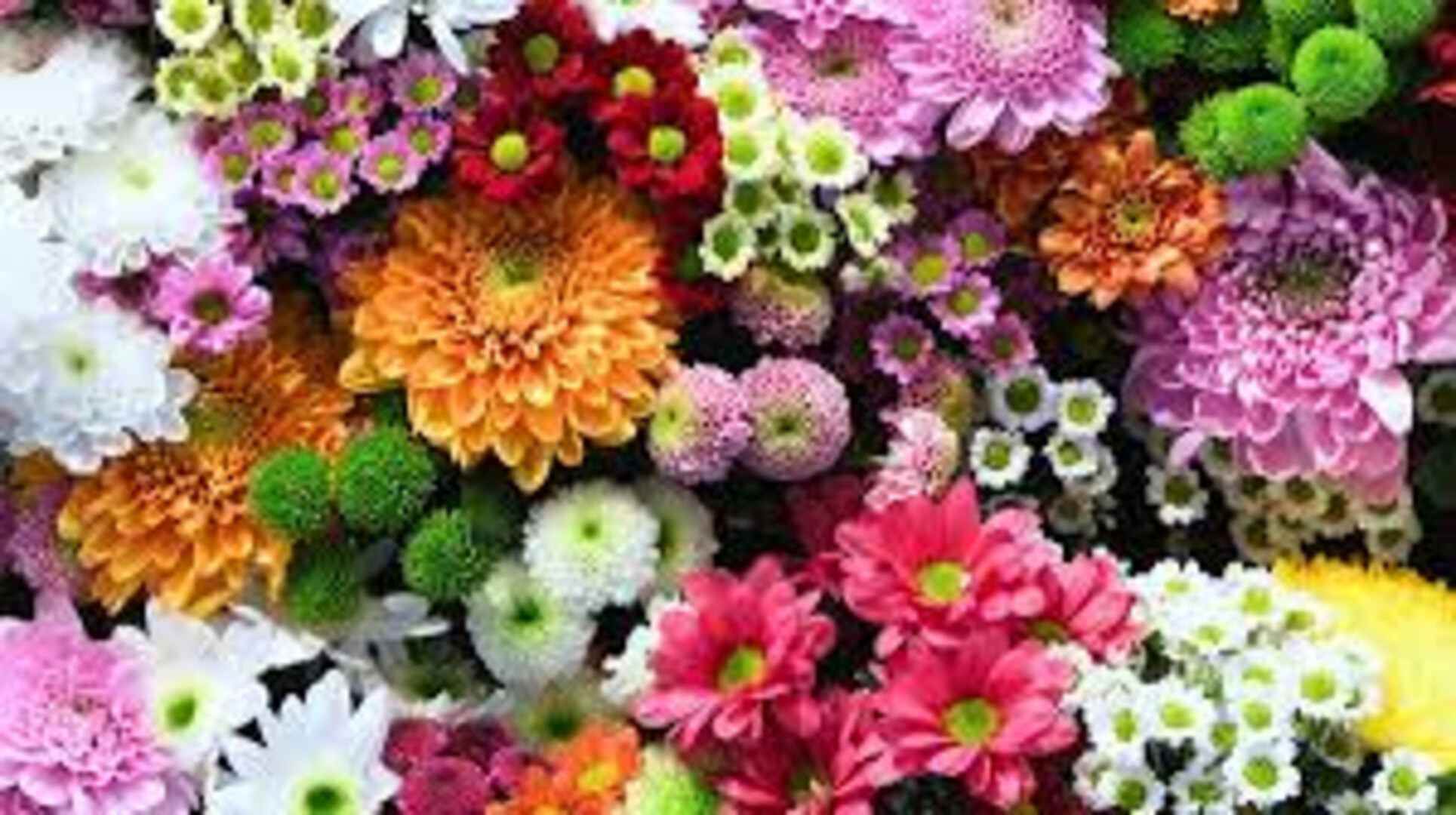 flower shop