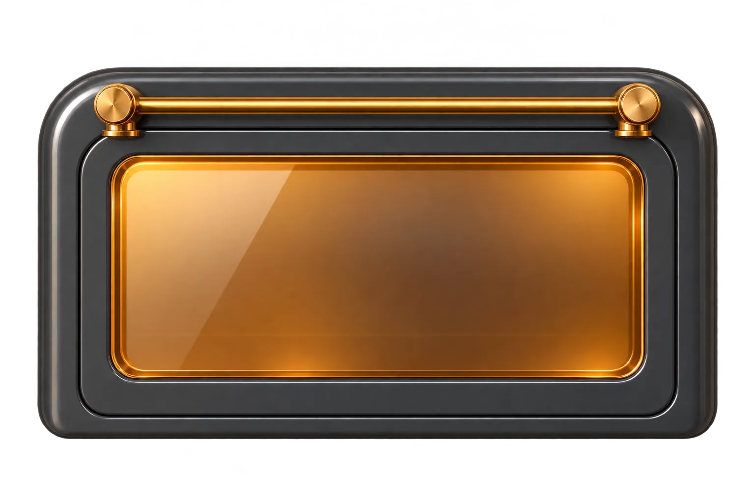 The oven door